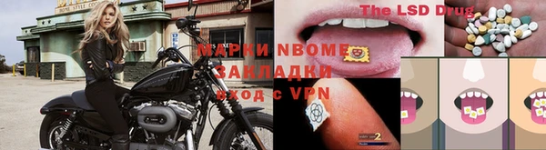 спиды Бородино