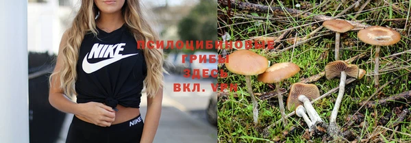 ПСИЛОЦИБИНОВЫЕ ГРИБЫ Бронницы