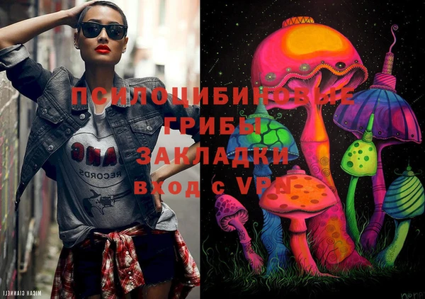 спиды Бородино