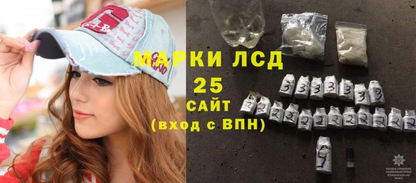 спиды Бородино