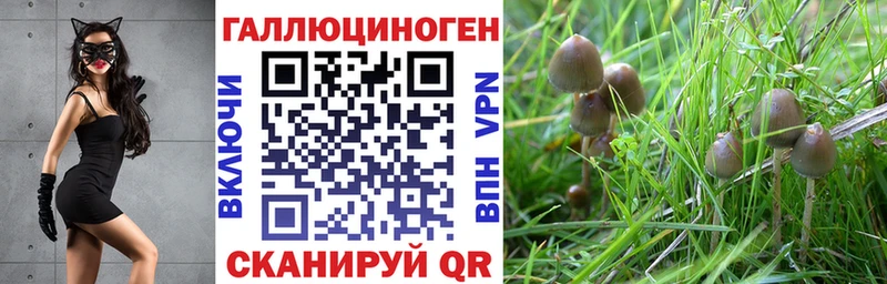 Галлюциногенные грибы Psilocybine cubensis  магазин продажи наркотиков  Мурманск 