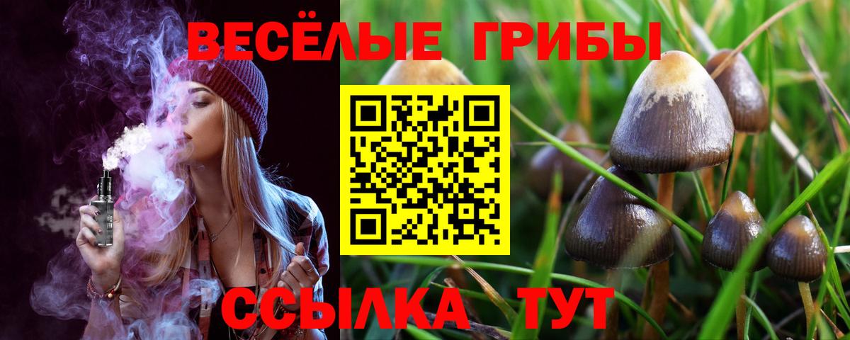 Псилоцибиновые грибы Psilocybe Мурманск